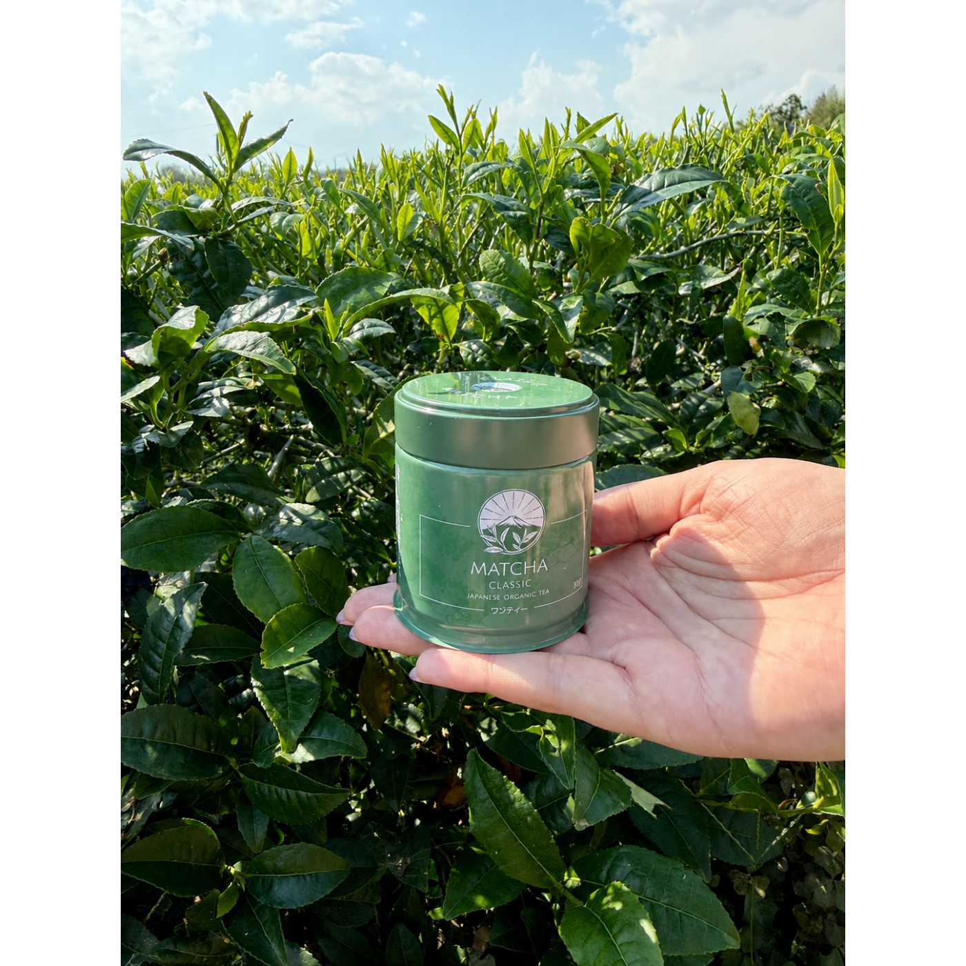 Herbata Matcha Classic – Codzienna Japońska BIO Shizuoka Fuji