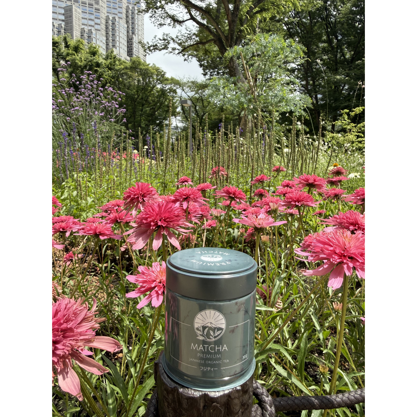Fuji Matcha premium - idealny balans i smak | Fuji Tea