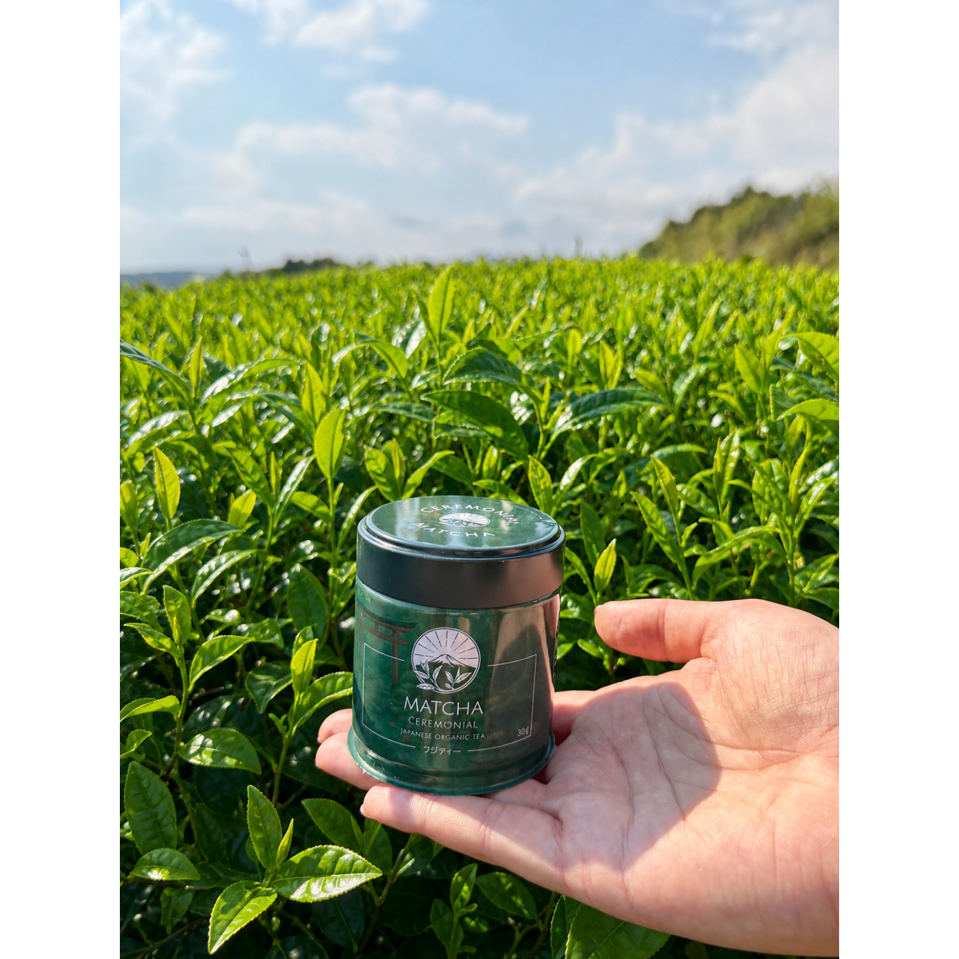 Herbata Matcha Ceremonialna – Japońska BIO Shizuoka Fuji