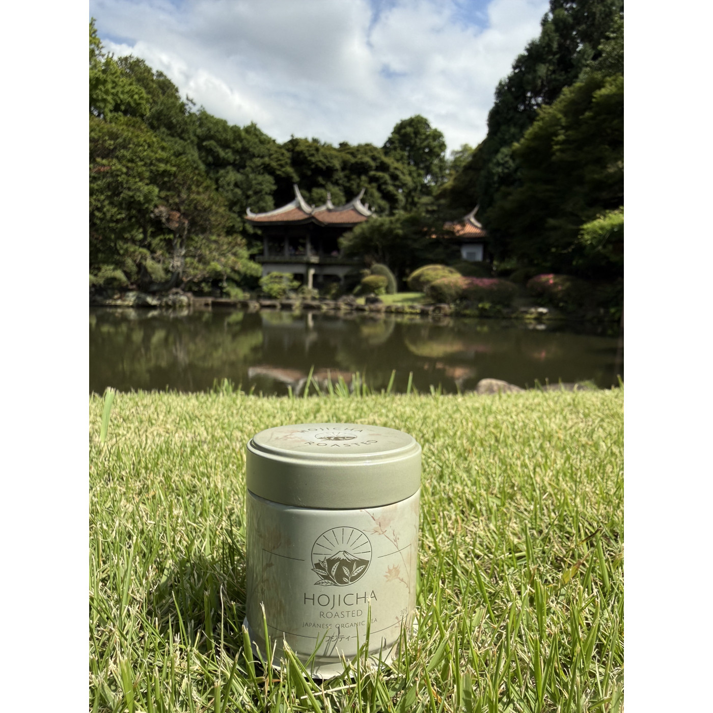 Hojicha BIO – japońska herbata prażona w proszku | Fuji Tea
