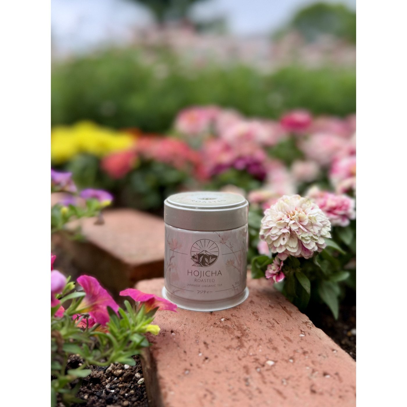 Hojicha BIO – japońska herbata prażona w proszku | Fuji Tea