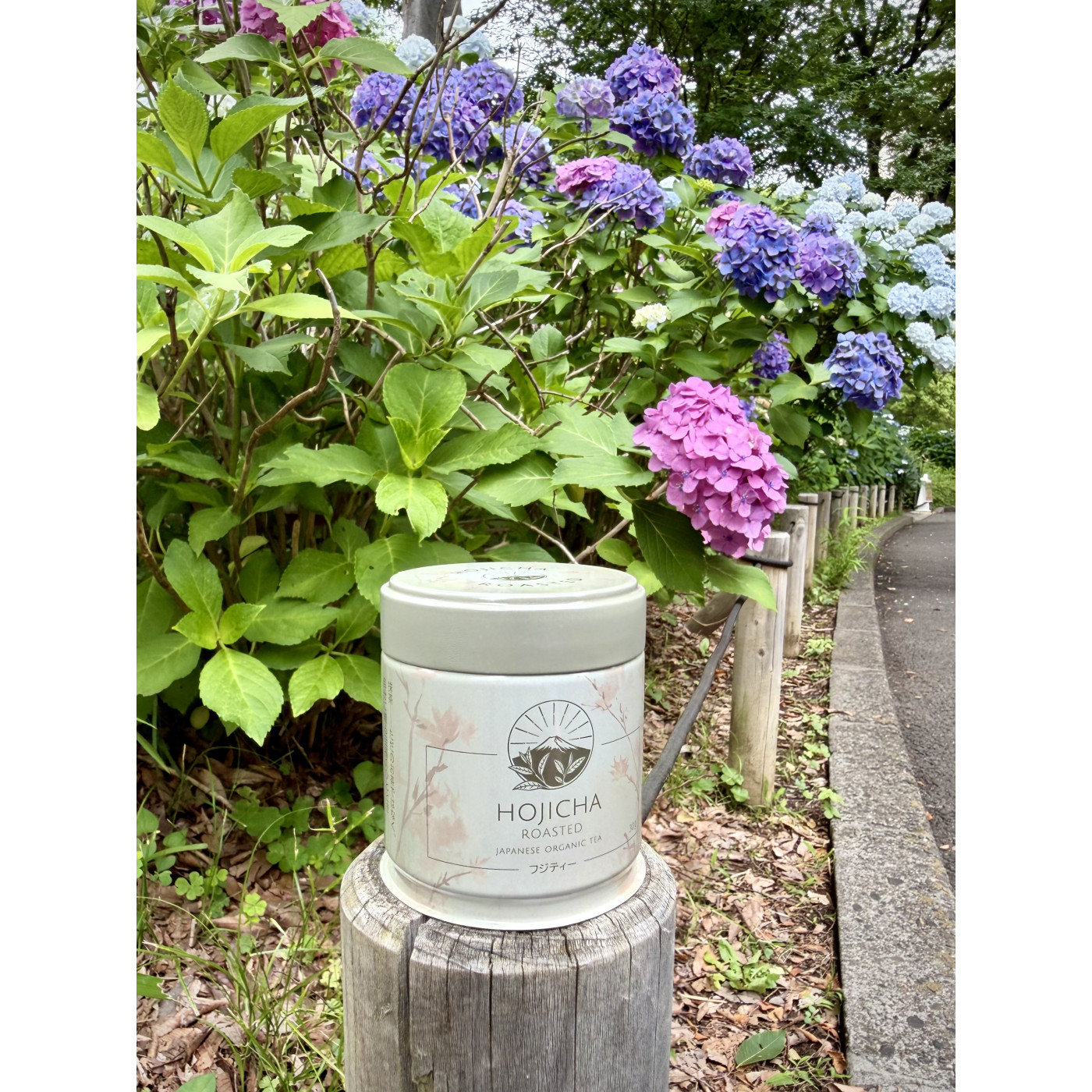 Hojicha BIO – japońska herbata prażona w proszku | Fuji Tea