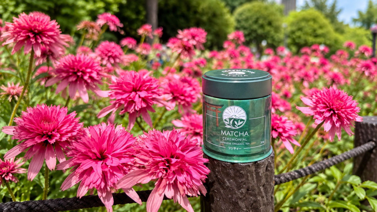Matcha organiczna vs konwencjonalna – czy warto dopłacić za ekologiczną uprawę?