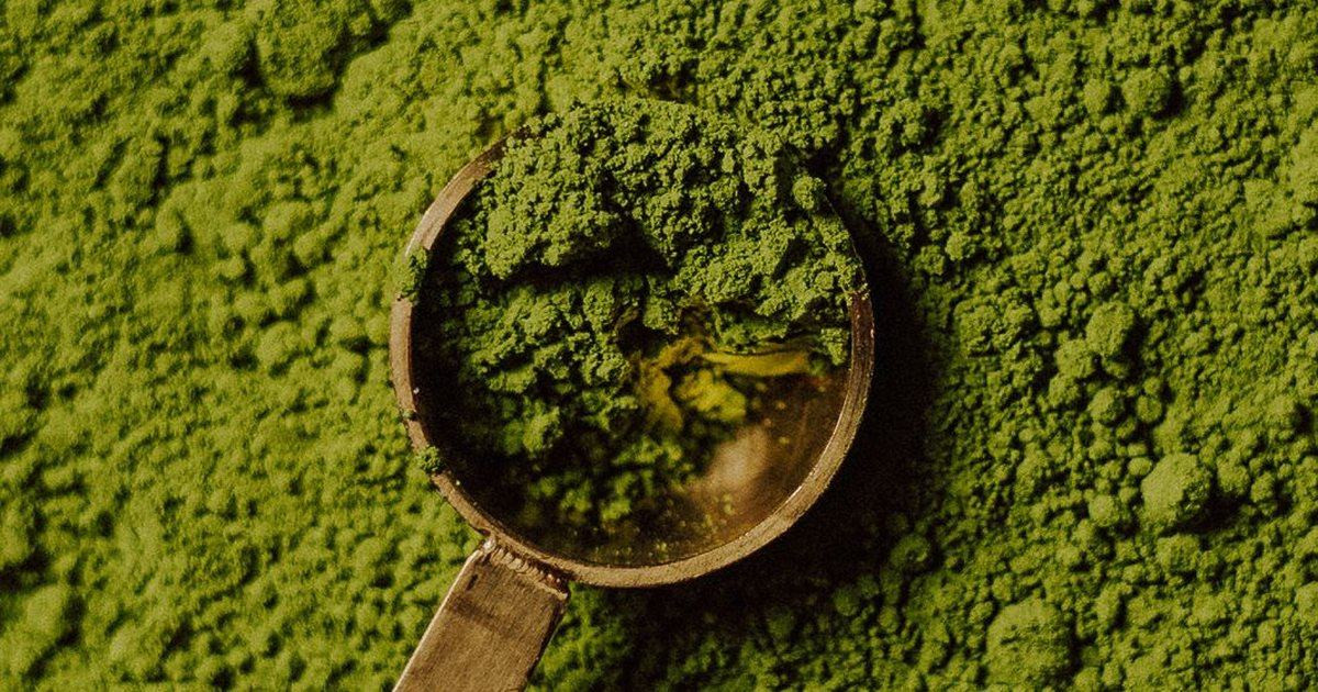 Zielona herbata na noc – czy matcha przed snem to dobry pomysł?